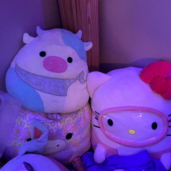 COPY - Squish for sale or trade - Picture 4 of 6